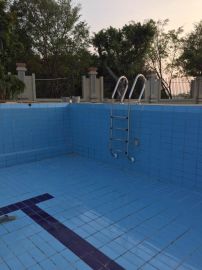 美人魚sf 315游泳池扶梯 ,東莞市企石上博康體設(shè)備商行